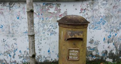 ডাকপিয়ন