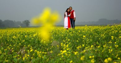 ব্যস্ততা