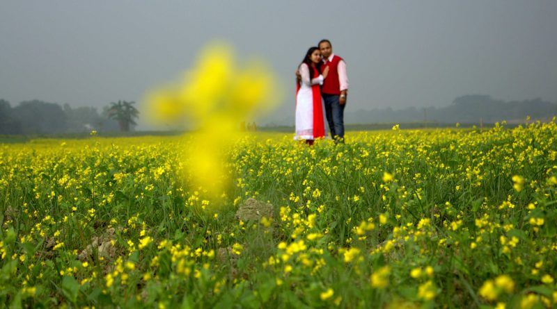 ব্যস্ততা