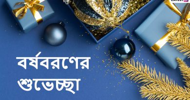 নতুন বছর